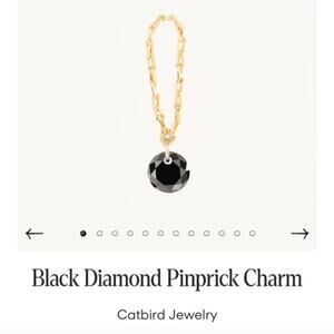 🚫*SOLD* NIB Catbird Black Diamond Pinprick Charm 14k Gold Limited Edition